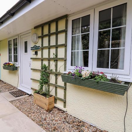 Primrose Cottage Llandrindod Wells Exteriér fotografie