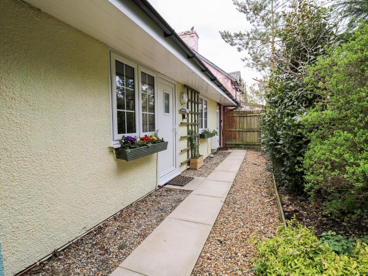 Primrose Cottage Llandrindod Wells Exteriér fotografie