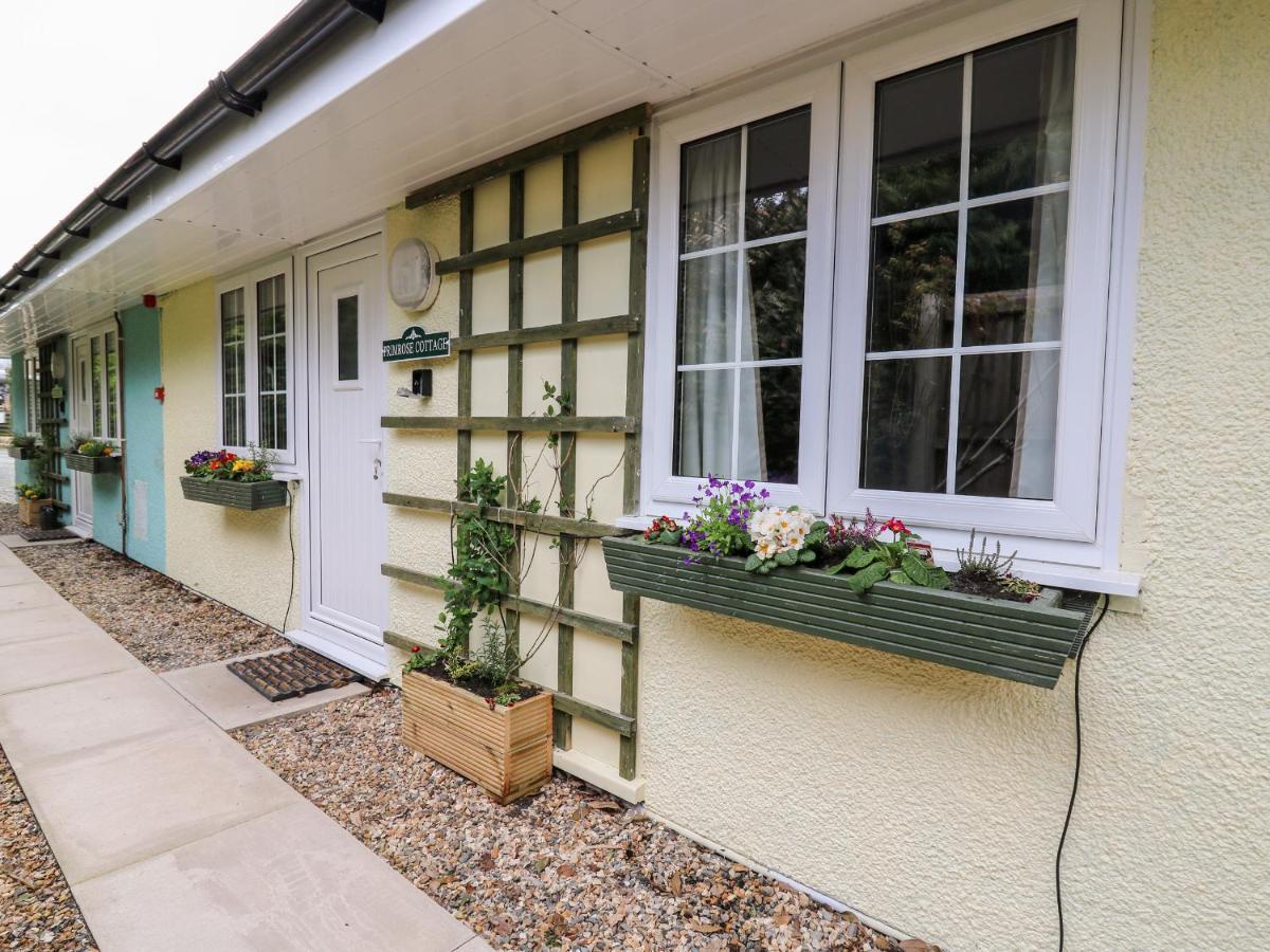 Primrose Cottage Llandrindod Wells Exteriér fotografie